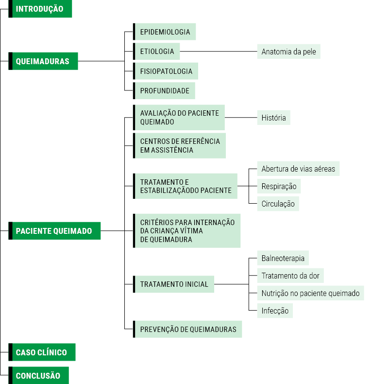 CUIDADOS INTENSIVOS PEDIÁTRICOS AO GRANDE QUEIMADO SECAD