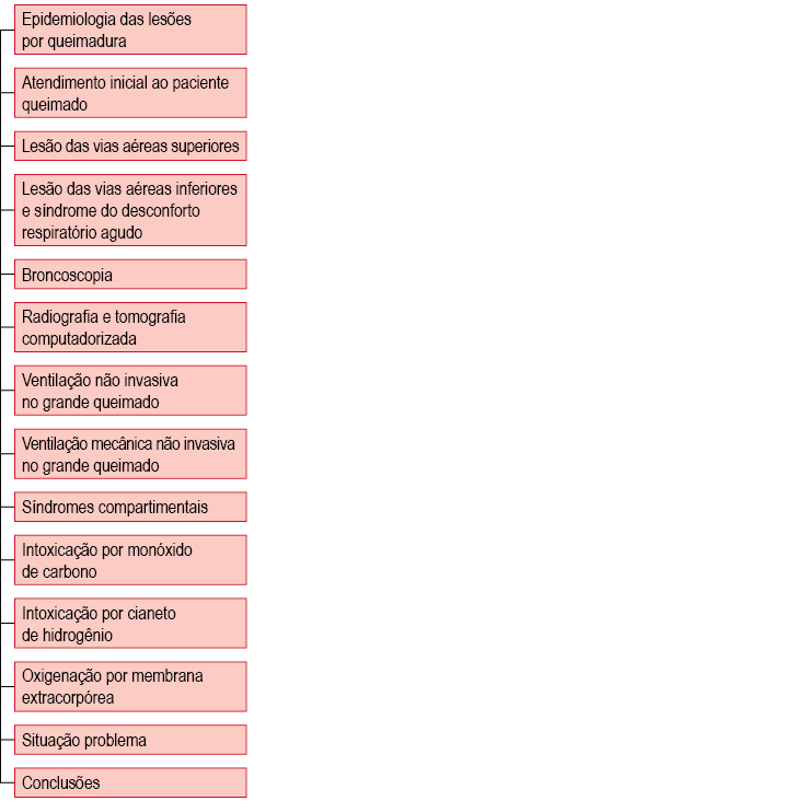 MANEJO DO PACIENTE QUEIMADO COM LESÃO INALATÓRIA E INSUFICIÊNCIA